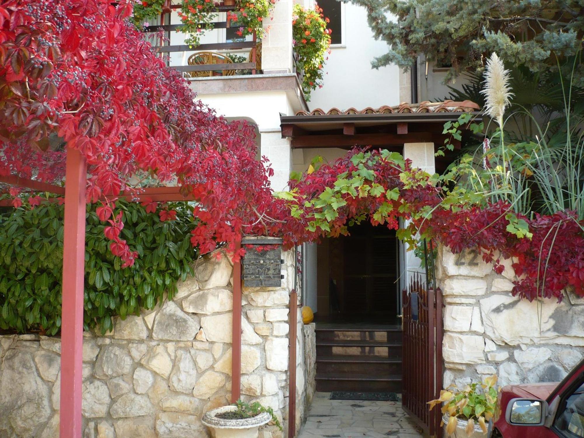 Apartments Finida Porec Exterior photo